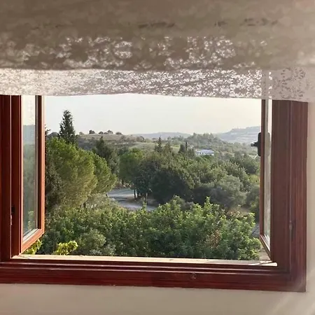 Spring Of Life Forever *