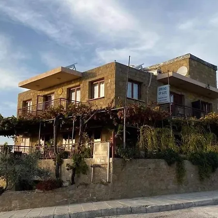 Spring Of Life Forever * Amargeti