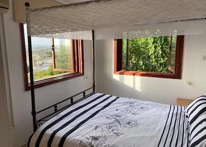 Spring Of Life Forever Amargeti