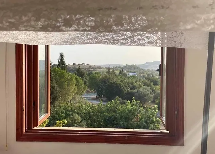 Spring Of Life Forever *